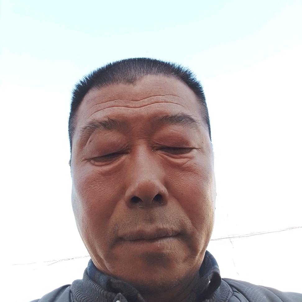 金虎木工团队，
