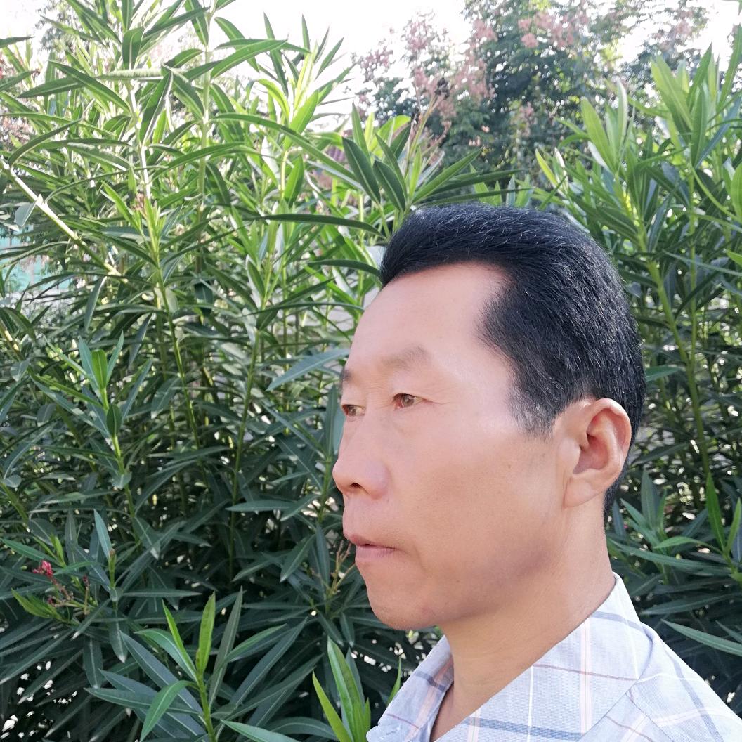 潇洒哥