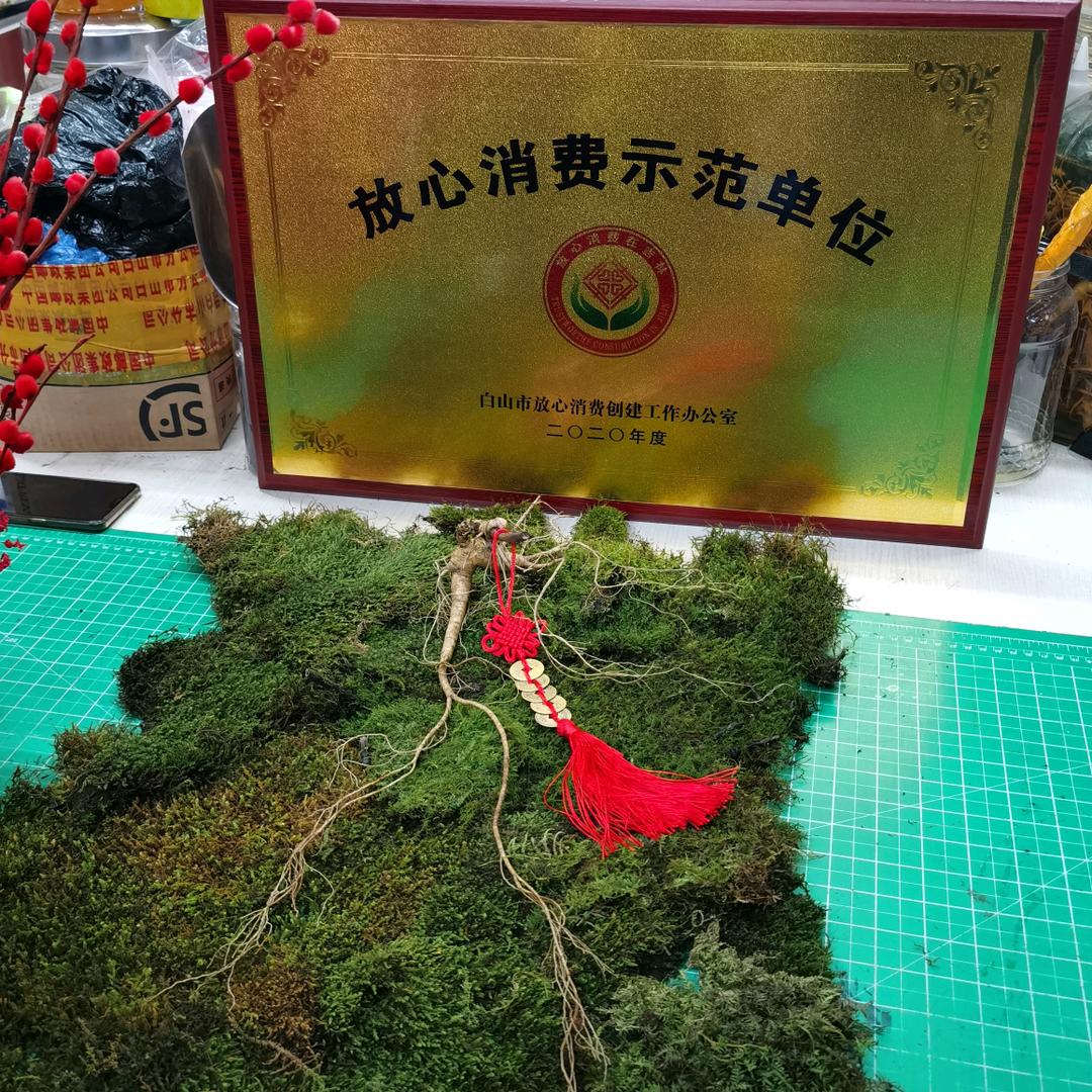 长白山下老参农
