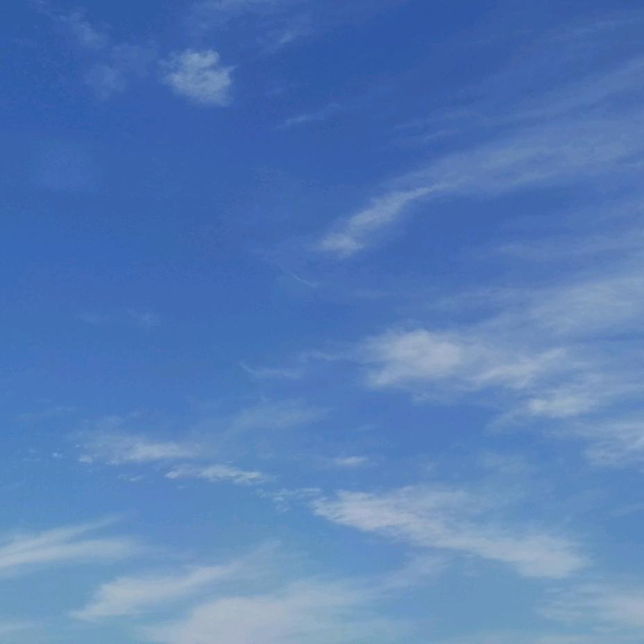 叮咚@