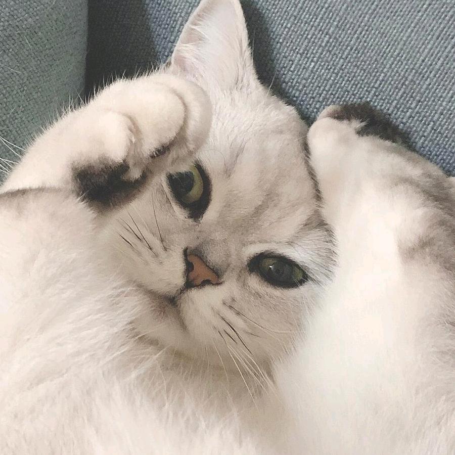卖报小行家