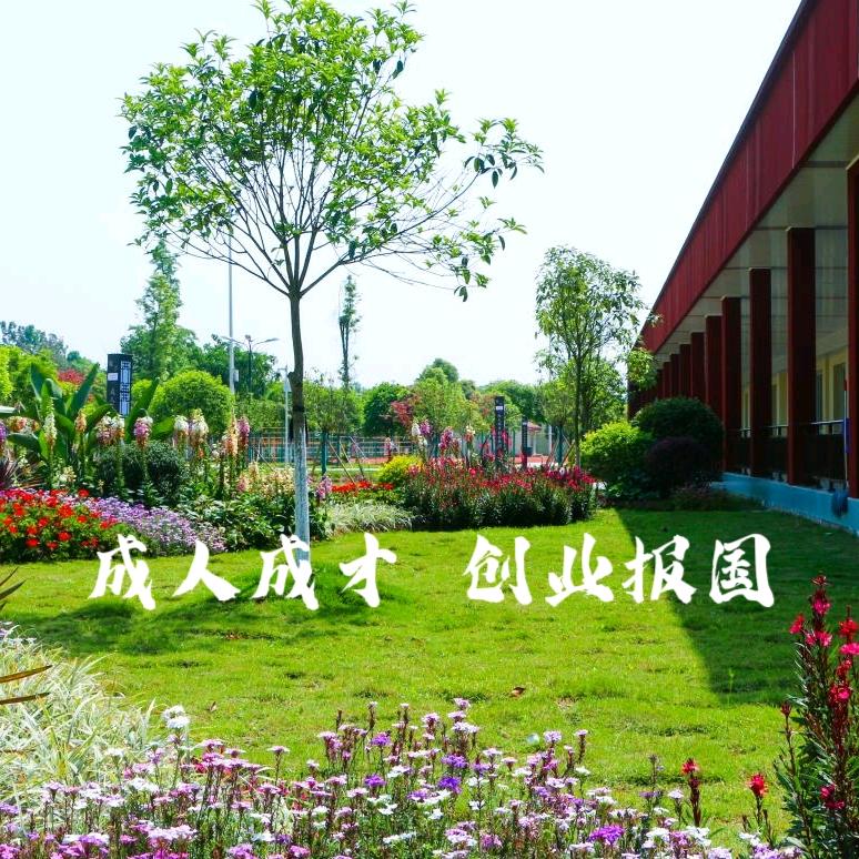 强项故事