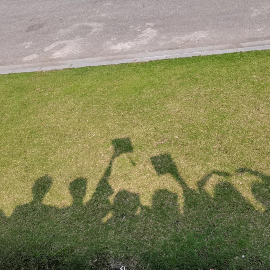 我在人间凑数呢