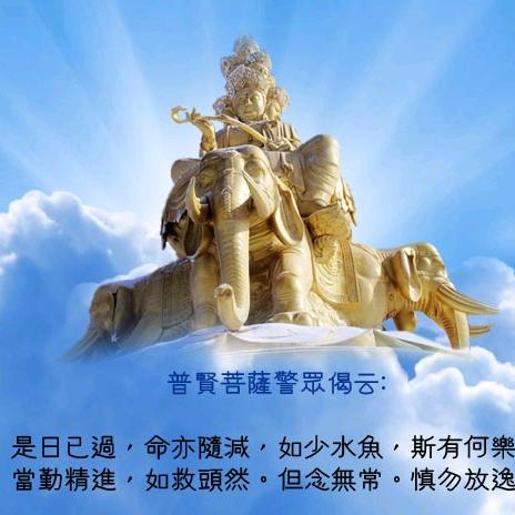 是日已过
