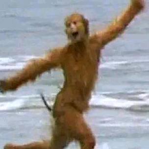 方便面的最后一口汤