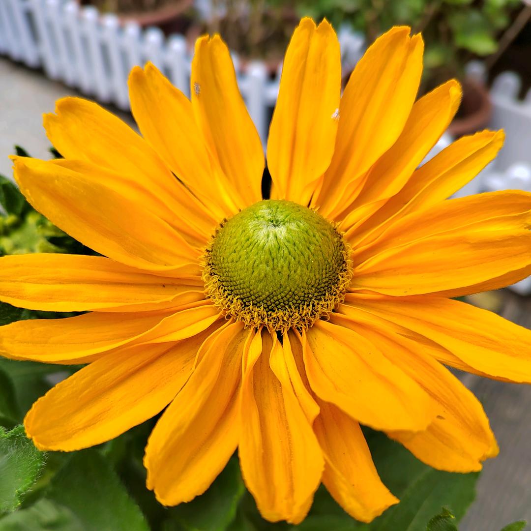 快醒醒该睡觉了