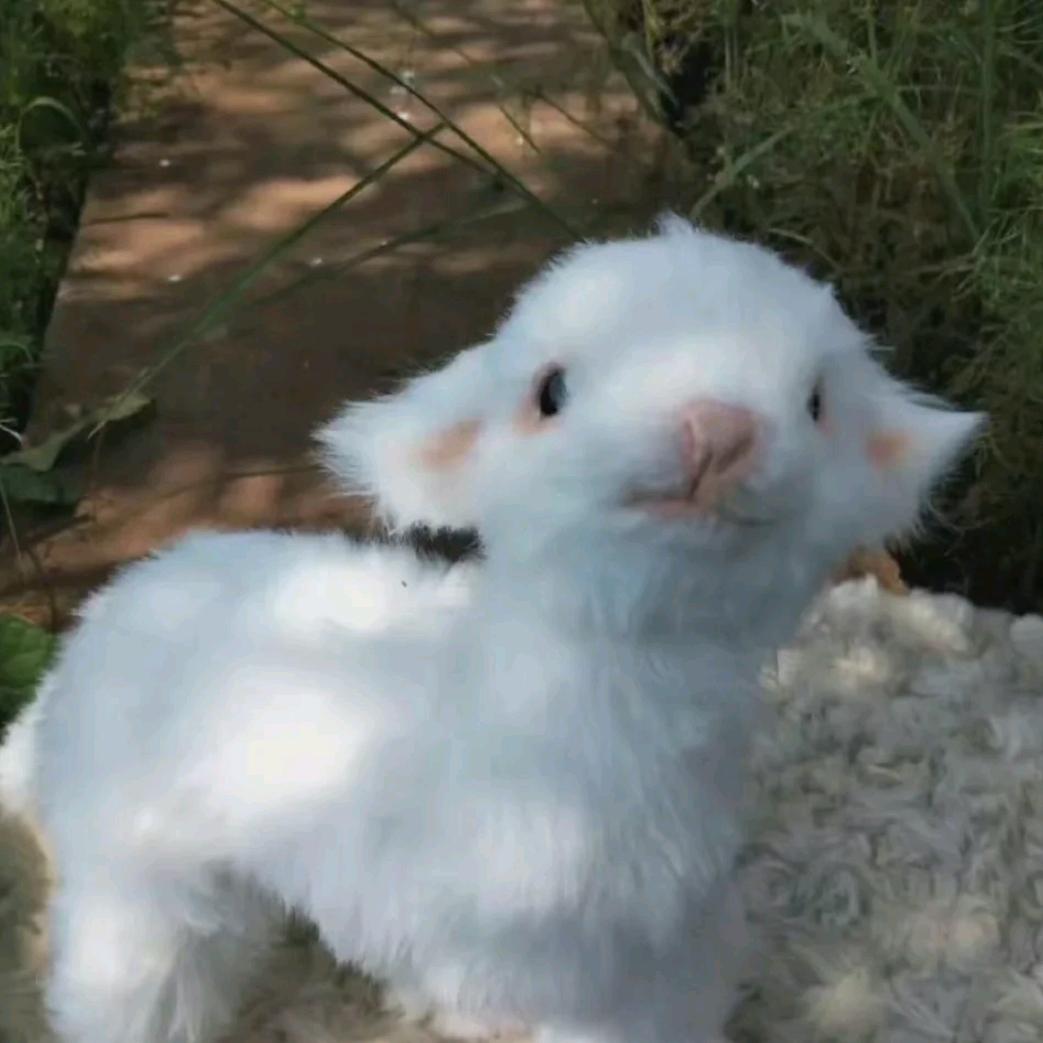 让我想想.