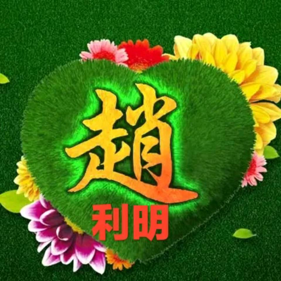 满天星231477491