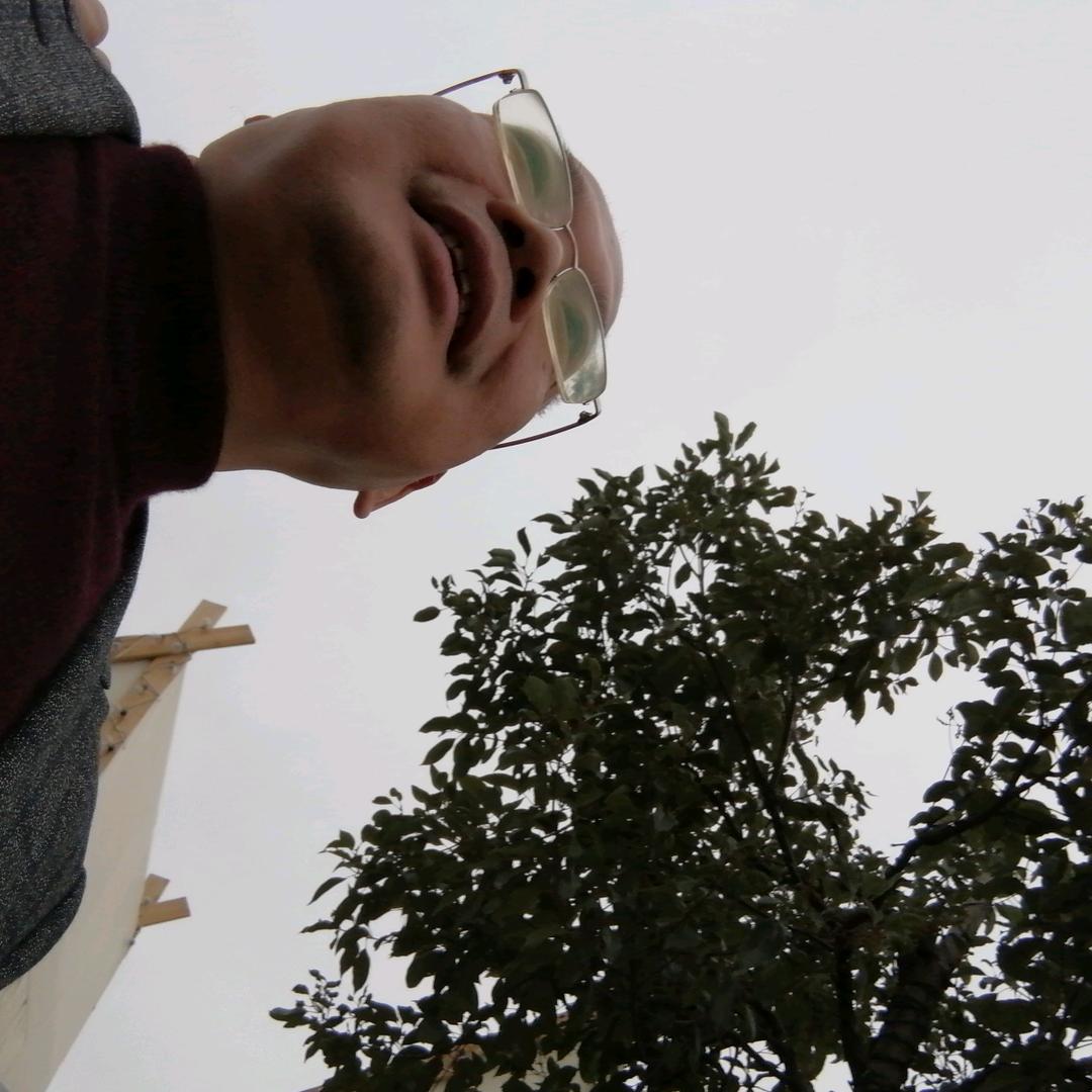 毛