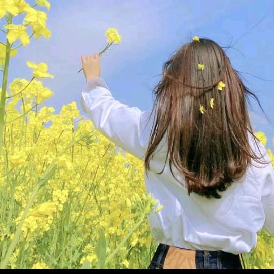 花语为诗～倩儿