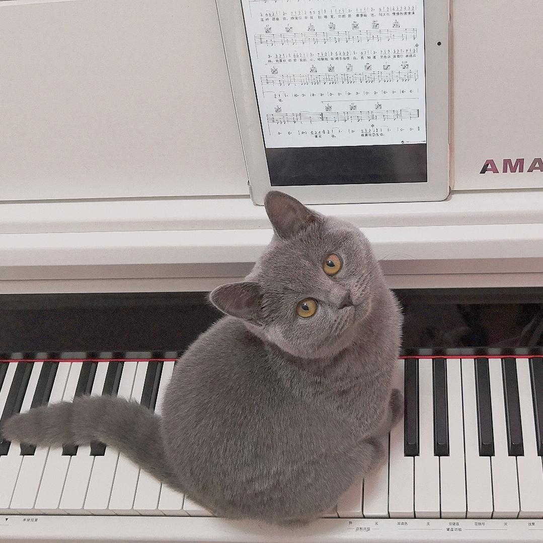 🌈爱人如养花🌸