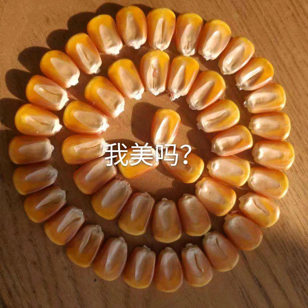 居心叵测