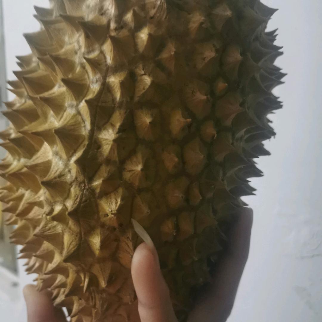 一不小心