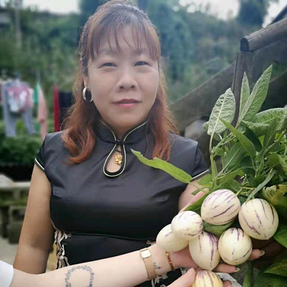 好玩好耍李爱情