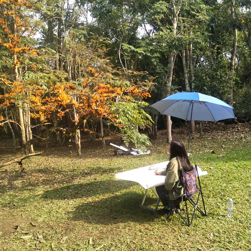 丽