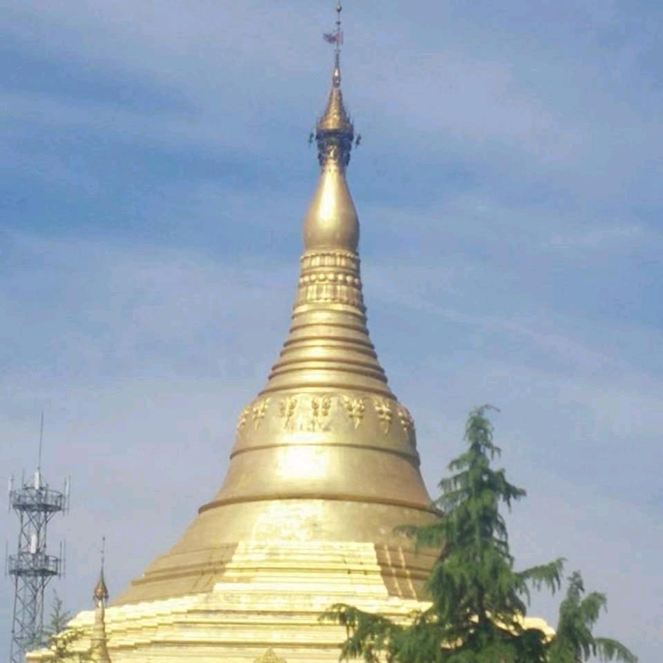 玫瑰