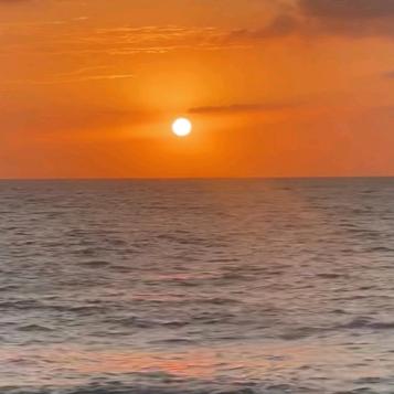 诚信是我的初忠