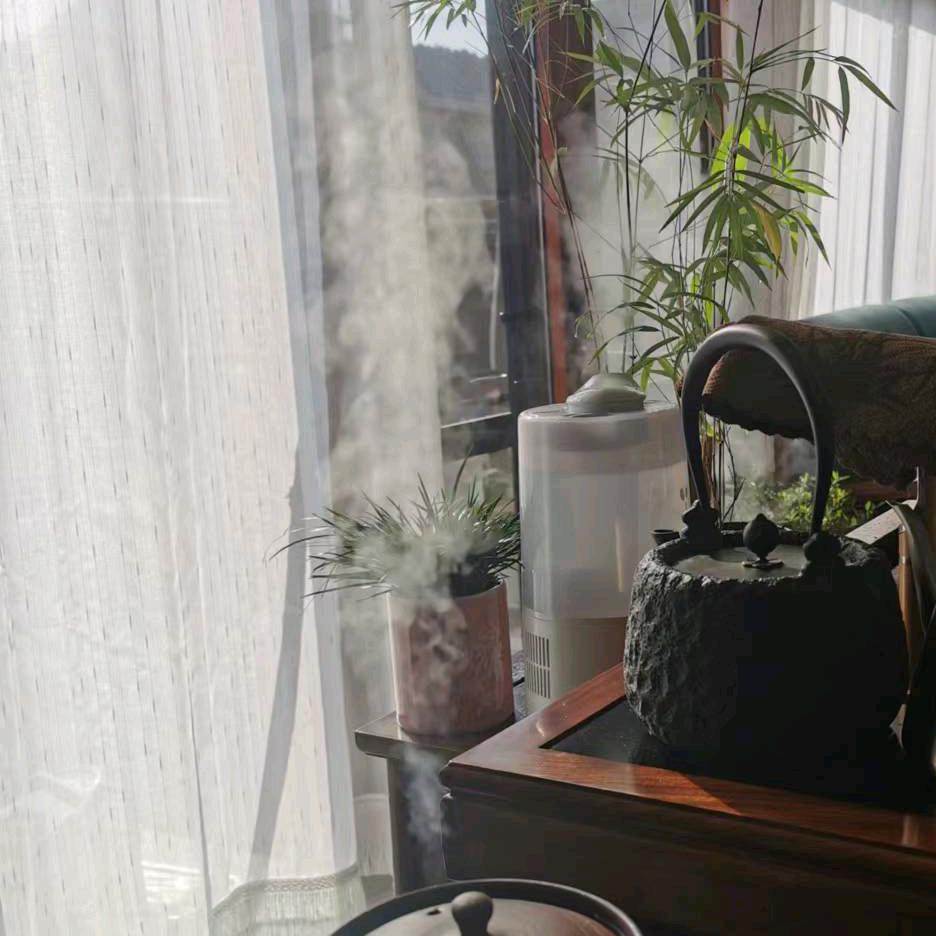 🌈下庄儿的任🌈