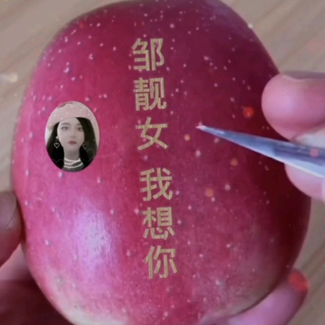 邹邹而谈