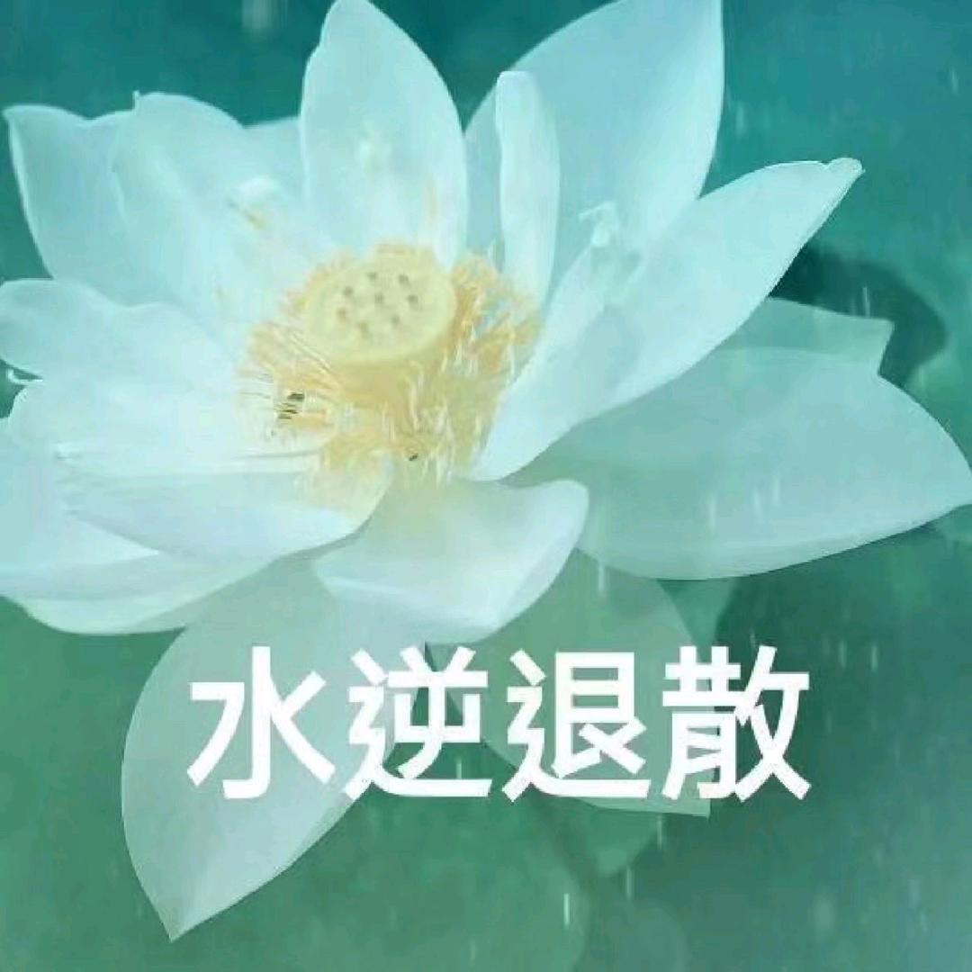 花开富贵🌺🌺🌺