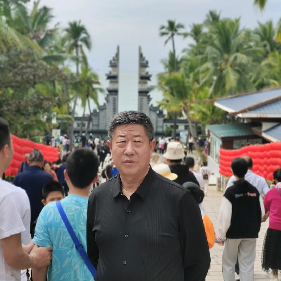 雁南飞