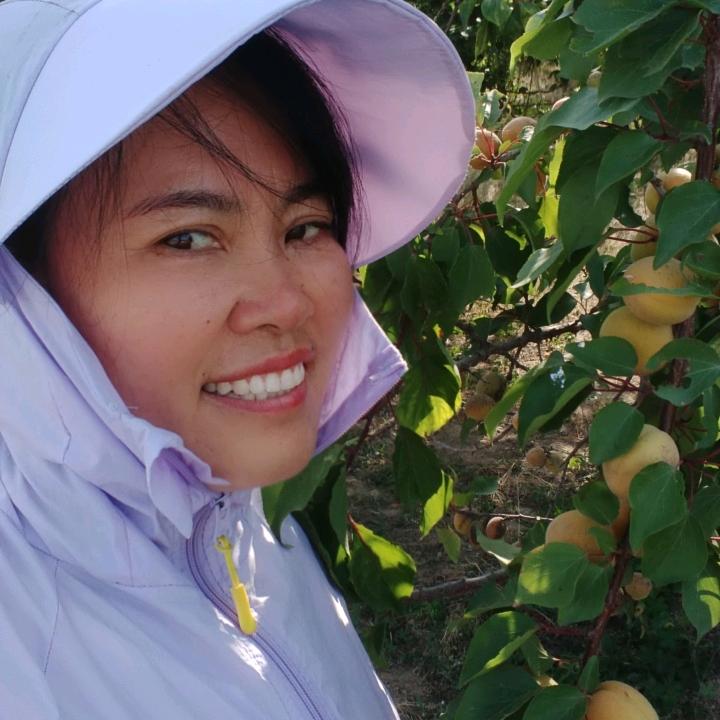 梅姐