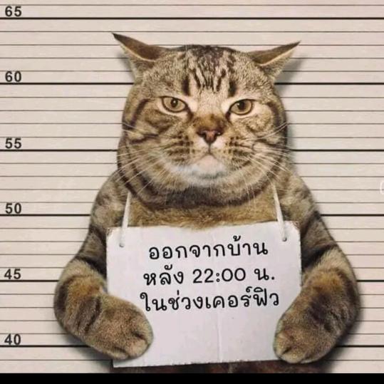 右至