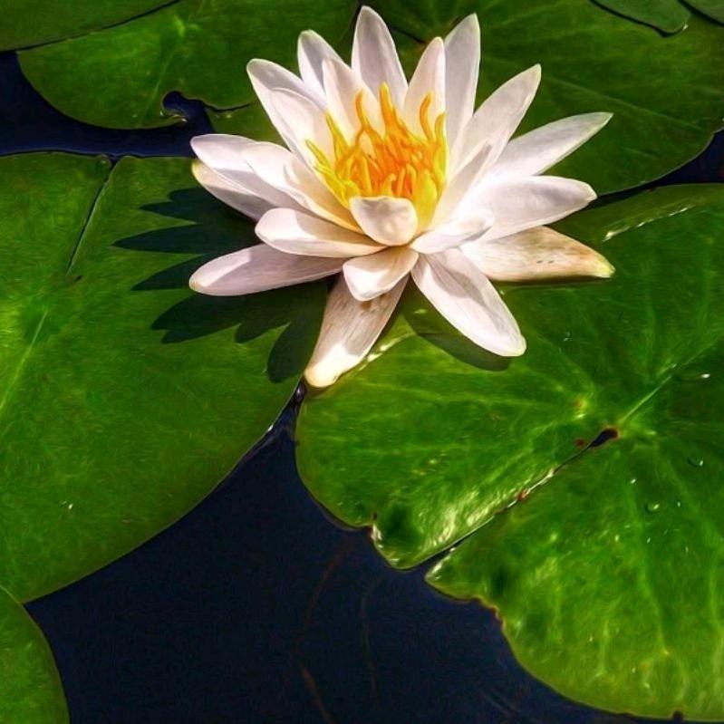 🦹¹ᶟ₁₄杨李一辈子₅₂₀💞