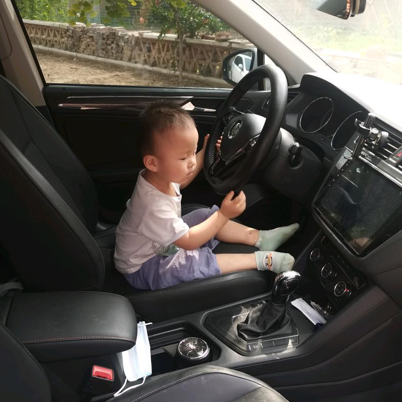 搬运工小马