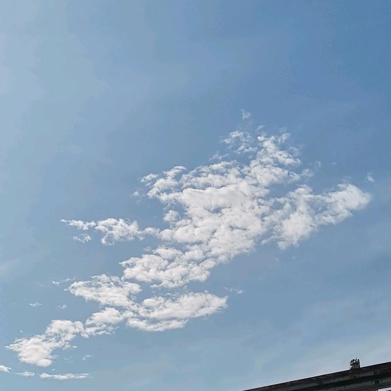 扬竿起道（雅典的良心）