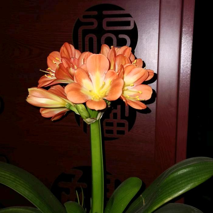 留不住的岁月，🌹