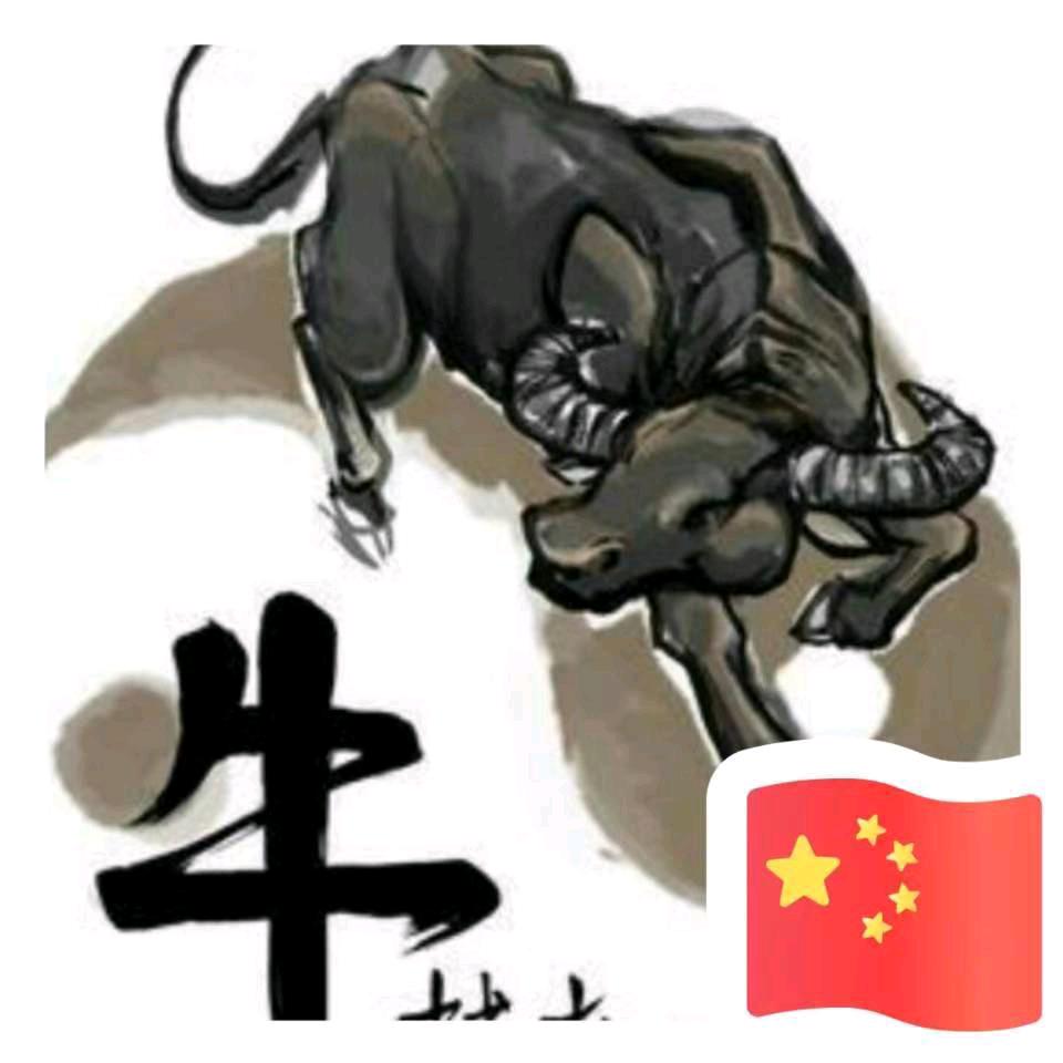 鹏飞