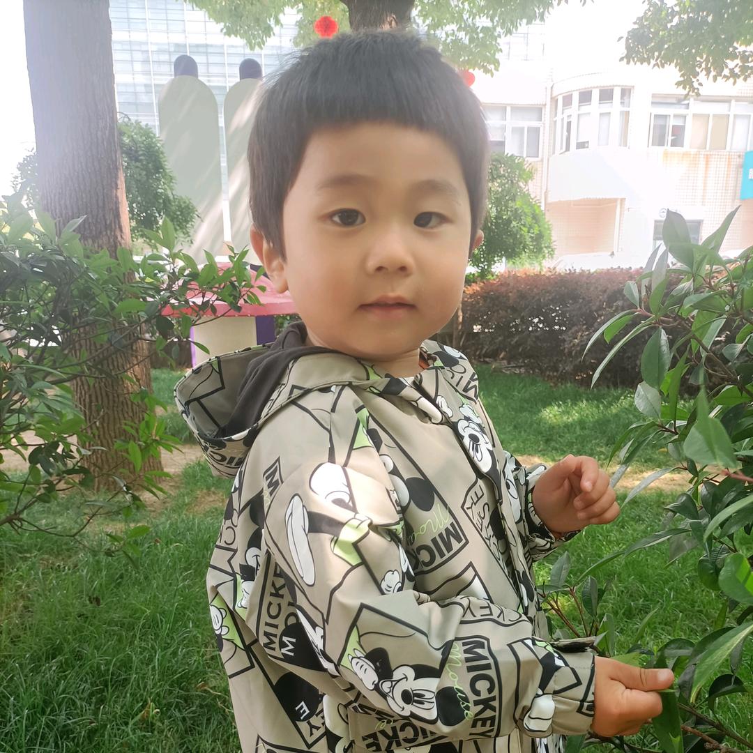 杨洁