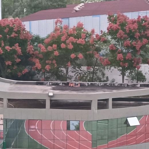 成斌