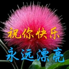 有你幸福