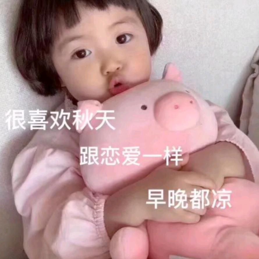 小宝贝