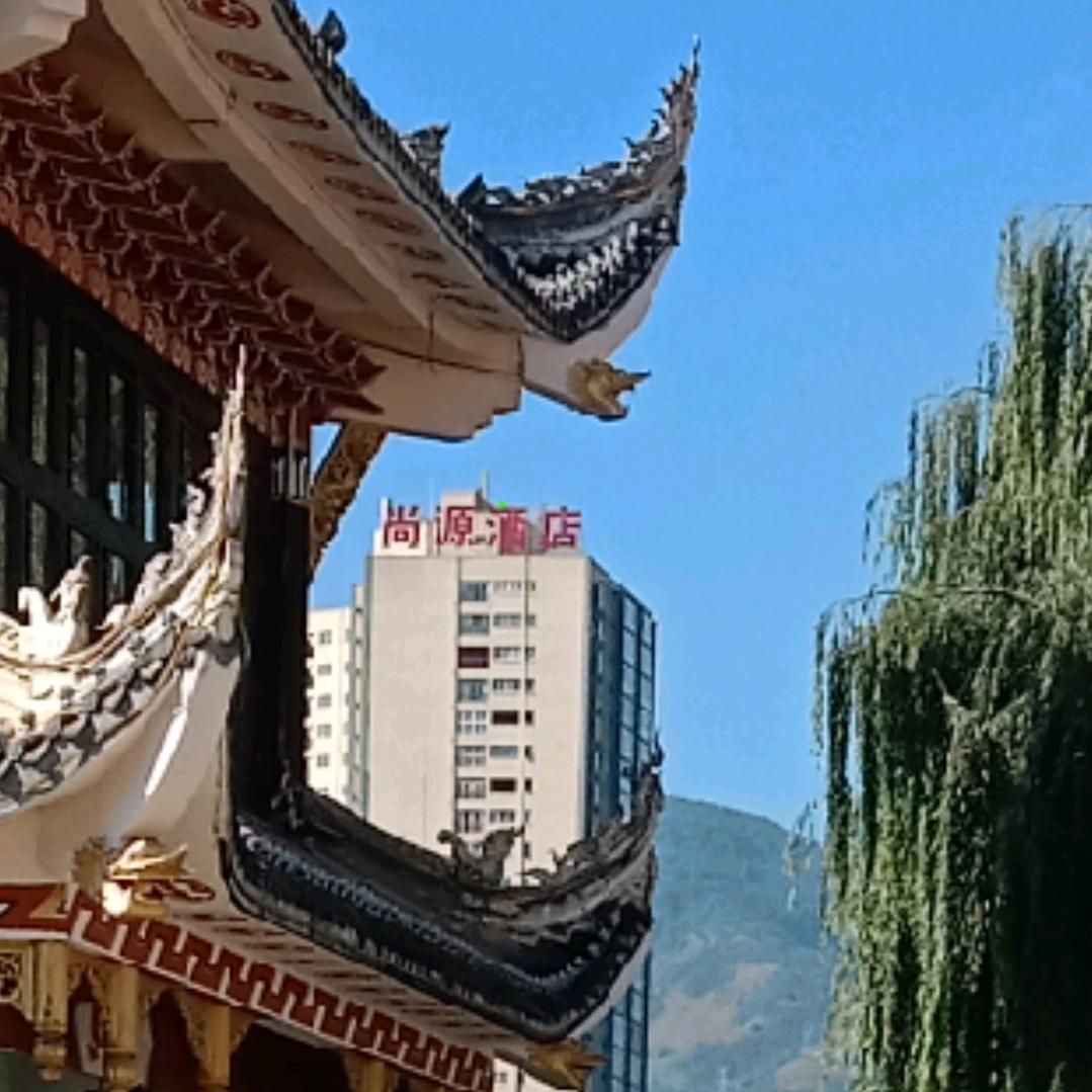 痴情
