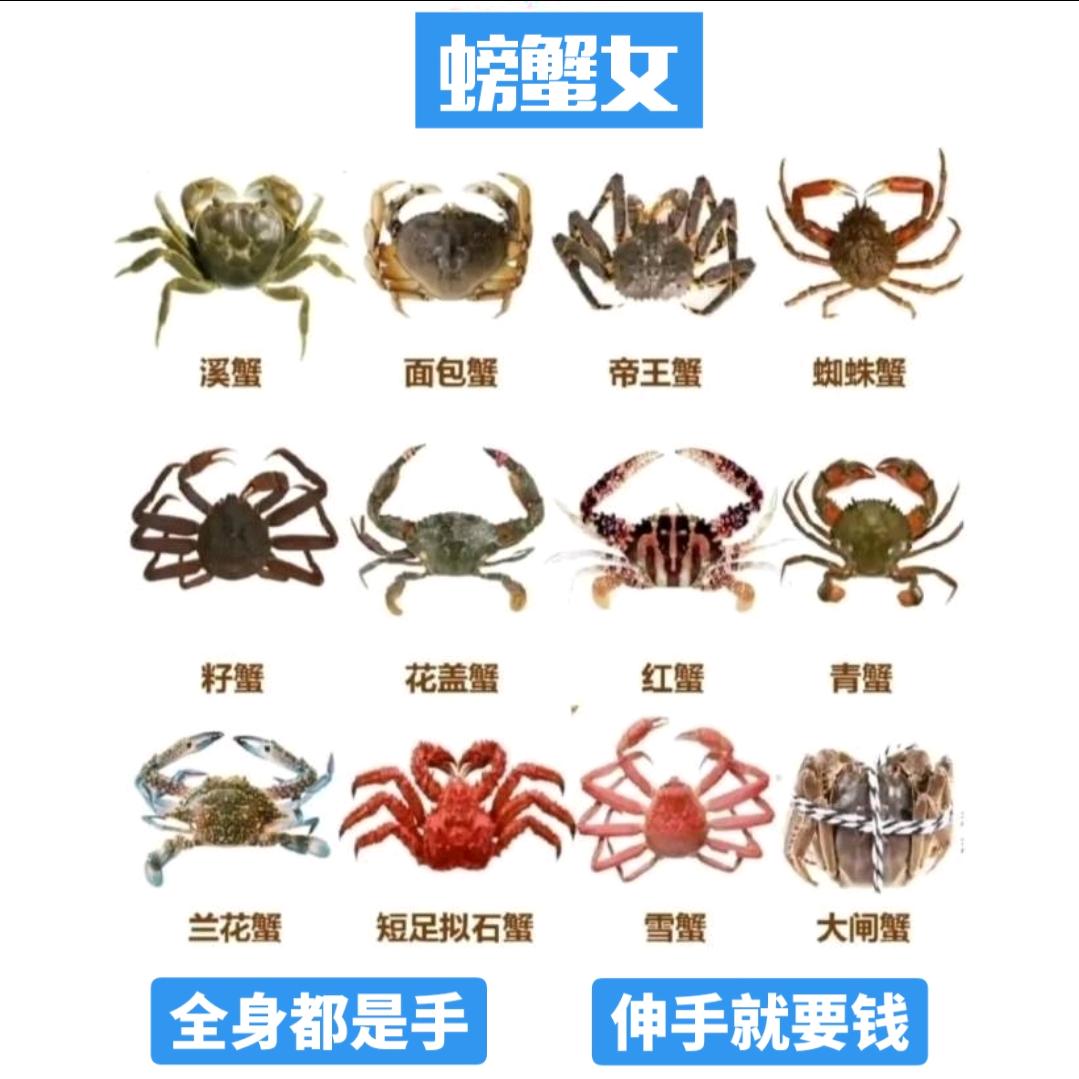 大冤种