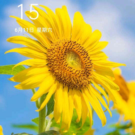 心静