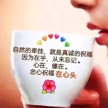 静听新雨