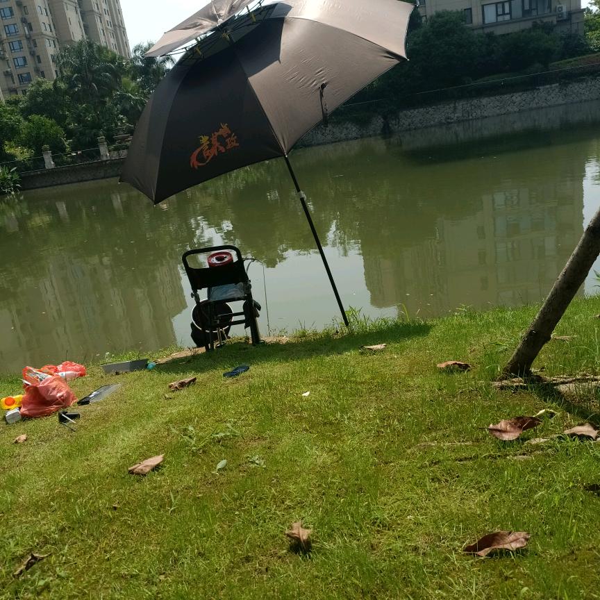数据加载中...
