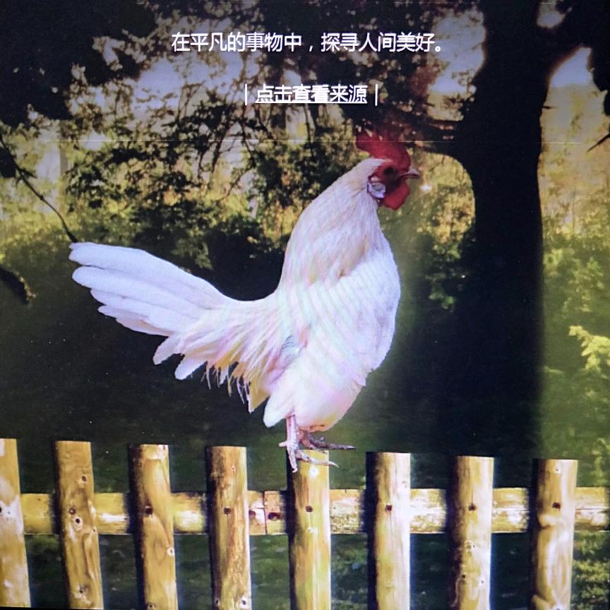 酒乐
