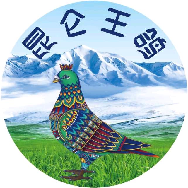 昆仑王鸽