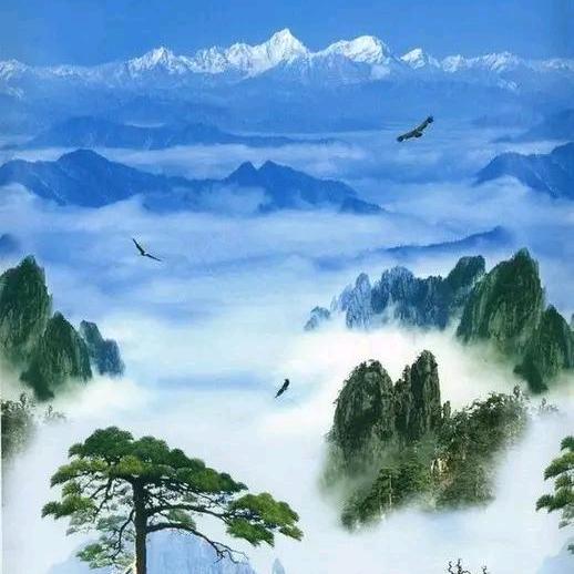 花开富贵来