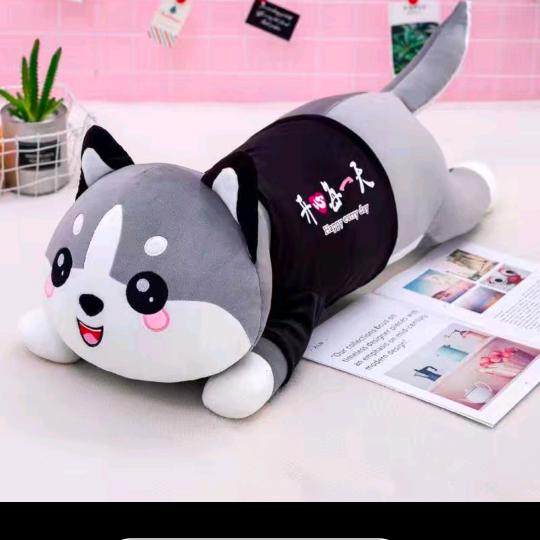 李佳佳