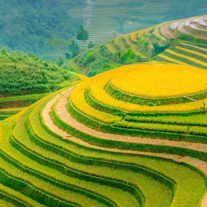冬去春来