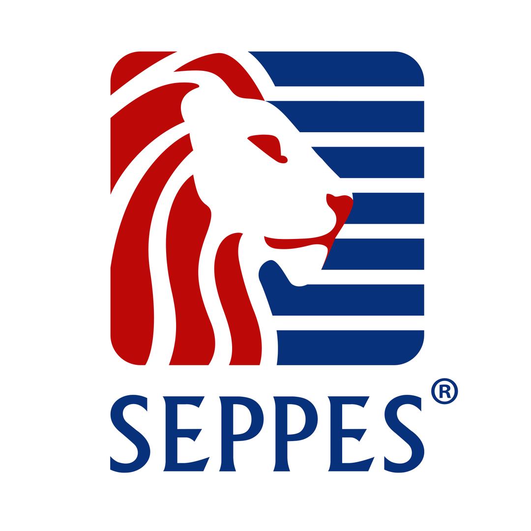 西朗门业SEPPES
