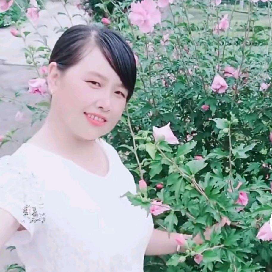 杨明苹