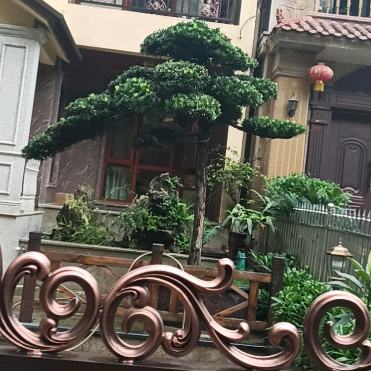 永远曾心❤️