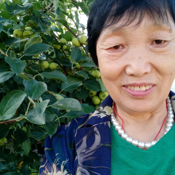 佛光普照。